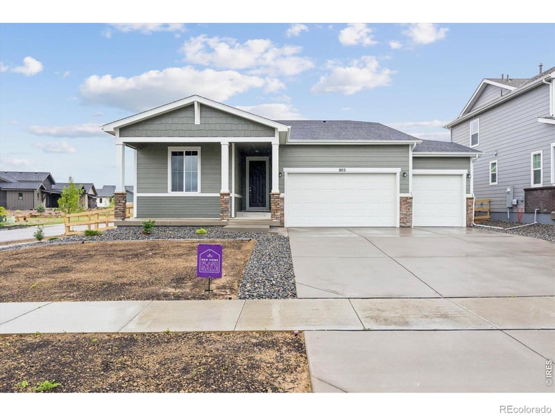 803 Mesic Ln, Windsor, CO 80550