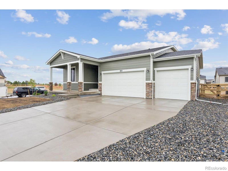 803 Mesic Ln, Windsor, CO 80550