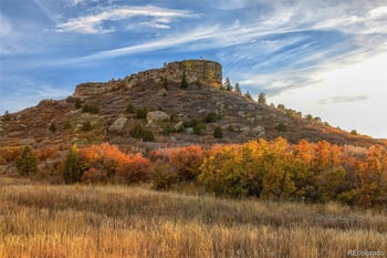 607 Sage Grouse Cir, Castle Rock, CO 80109