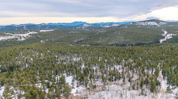 190 Hard Way Rd, Ward, CO 80481