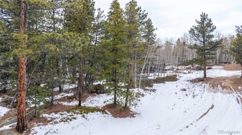 190 Hard Way Rd, Ward, CO 80481