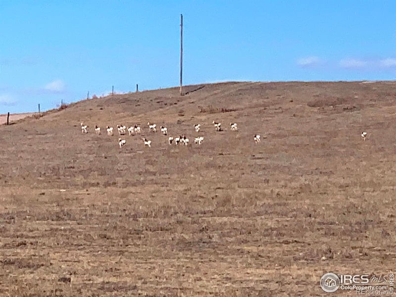 County Road 55, Ault, CO 80610