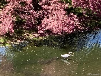 7000 Quincy Ave #416, Denver, CO 80237