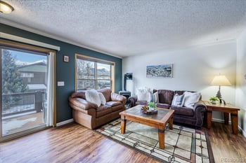 746 Anemone Trl, Dillon, CO 80435