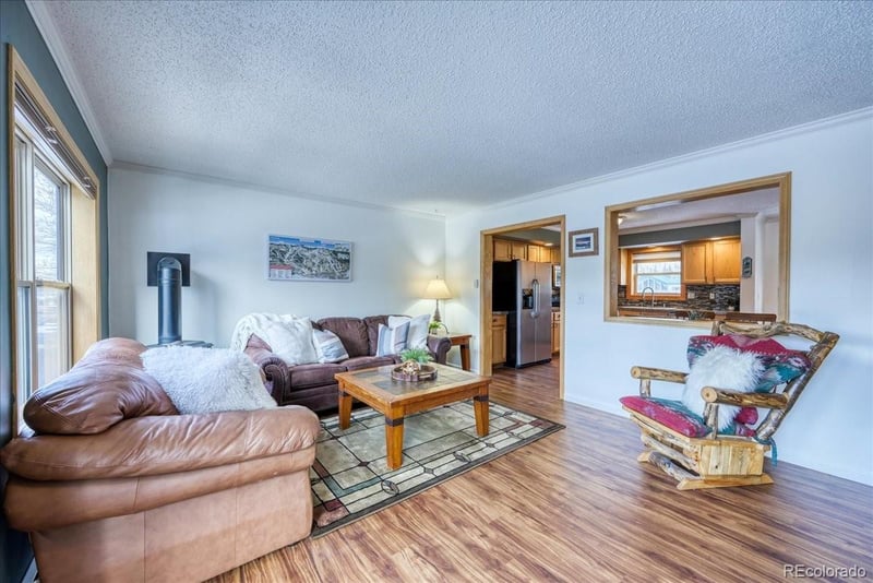 746 Anemone Trl, Dillon, CO 80435