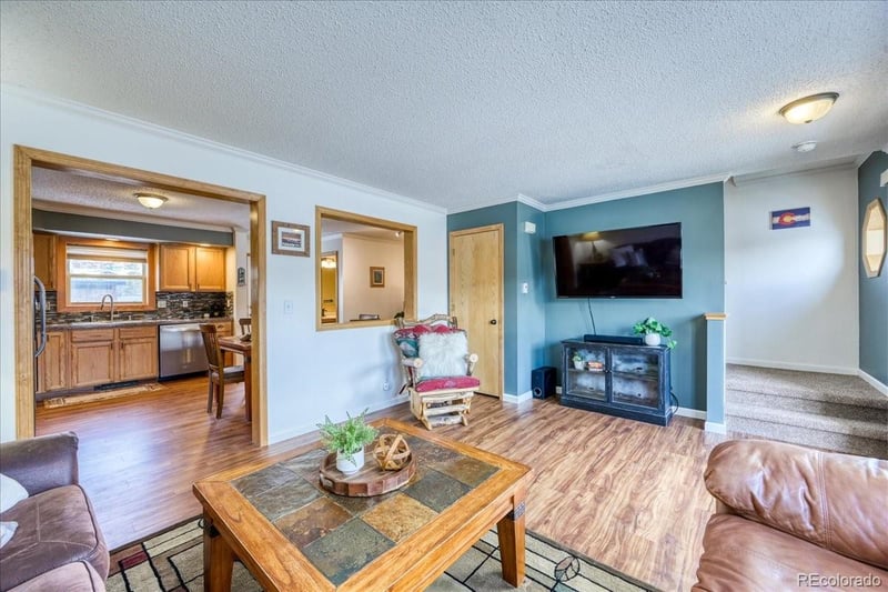746 Anemone Trl, Dillon, CO 80435