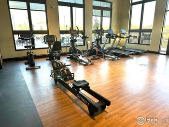 737 Gold Hill Dr, Erie, CO 80516