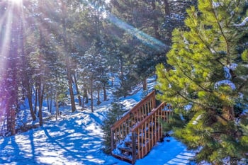 526 Wakanda Trl, Woodland Park, CO 80863