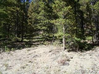Lot 680 Alice Rd, Idaho Springs, CO 80453
