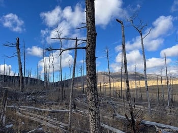 Lot 2397 Petito Dr, Fort Garland, CO 81133