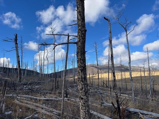 Lot 2397 Petito Dr, Fort Garland, CO 81133