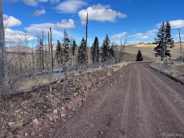 Lot 2397 Petito Dr, Fort Garland, CO 81133