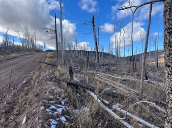 Lot 2397 Petito Dr, Fort Garland, CO 81133