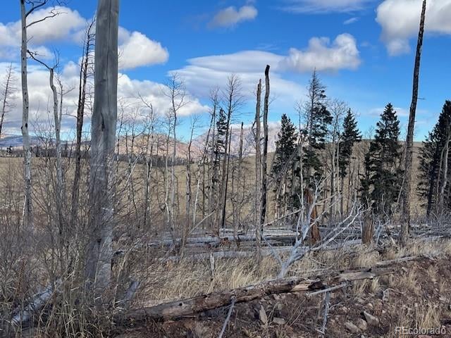 Lot 2397 Petito Dr, Fort Garland, CO 81133
