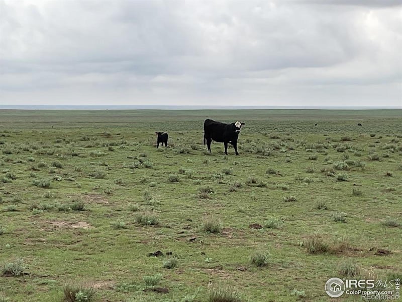 Hwy , Kit Carson, CO 80825
