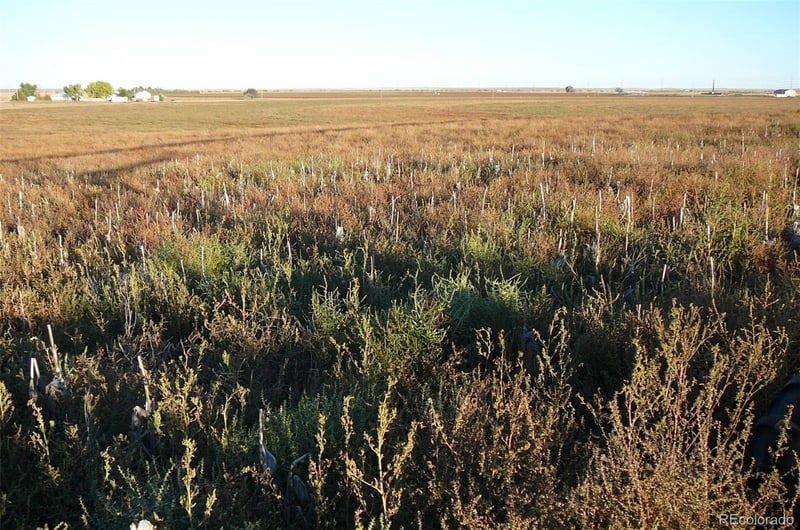 TBD Hwy 52, Wiggins, CO 80654