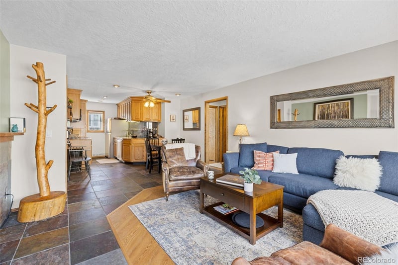 240 E La Bonte St #47, Dillon, CO 80435