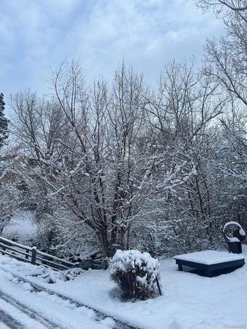 6305 6th Ave #D16, Lakewood, CO 80214