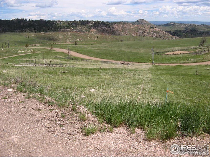 64 Bobcat Mountain Ct, Livermore, CO 80536