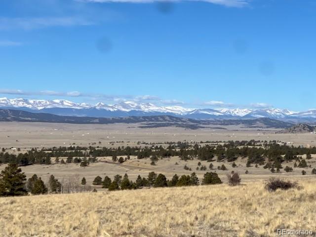 Tbd Highway 24, Hartsel, CO 80449