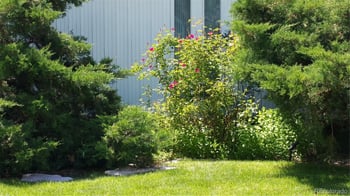 1323 Eudora St, Denver, CO 80222