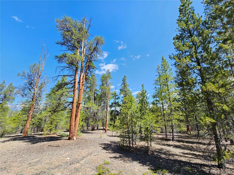 445 Mt Massive Dr Lot 23, 24, 29, 30, 31, Twin Lakes, CO 81251