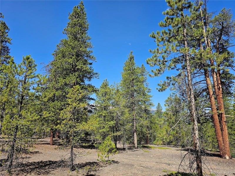 445 Mt Massive Dr Lot 23, 24, 29, 30, 31, Twin Lakes, CO 81251