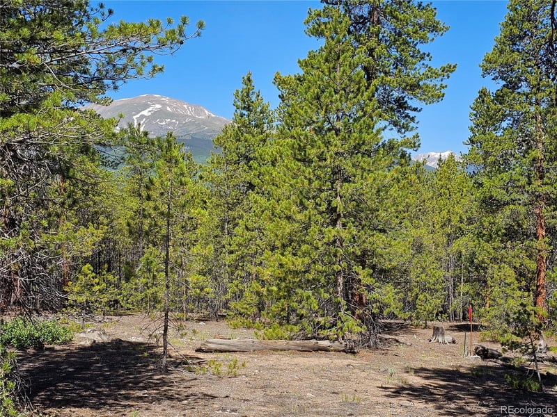 445 Mt Massive Dr Lot 23, 24, 29, 30, 31, Twin Lakes, CO 81251