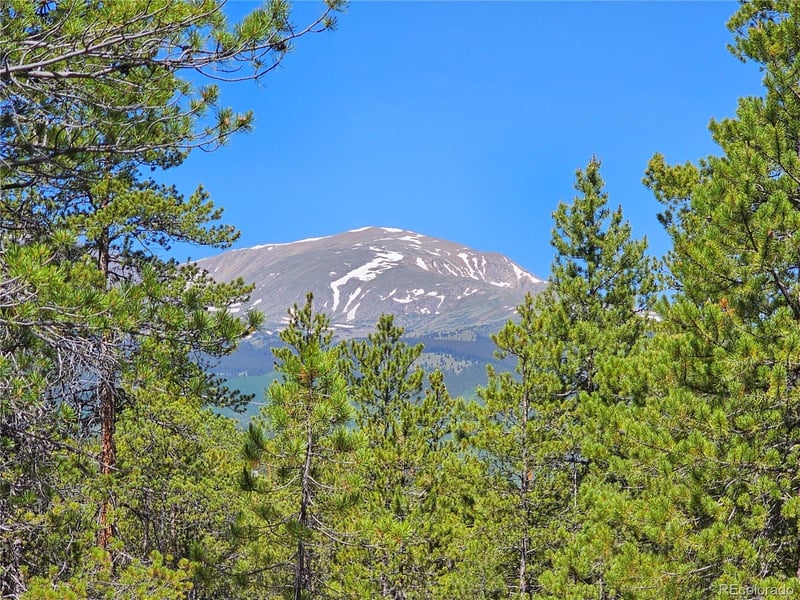 445 Mt Massive Dr Lot 23, 24, 29, 30, 31, Twin Lakes, CO 81251