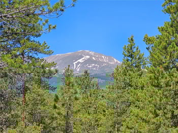 445 Mt Massive Dr, Twin Lakes, CO 81251