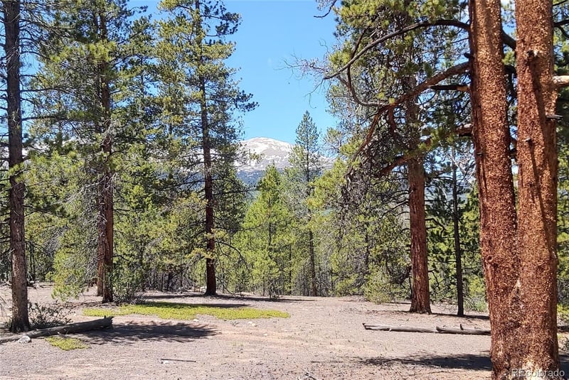 445 Mt Massive Dr, Twin Lakes, CO 81251