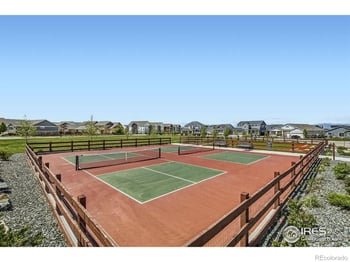 1759 Abundance Dr, Windsor, CO 80550