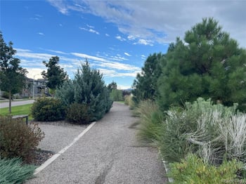 8102 Adams Fork Ave, Littleton, CO 80125