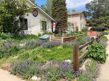 6637 95th Pl, Broomfield, CO 80021