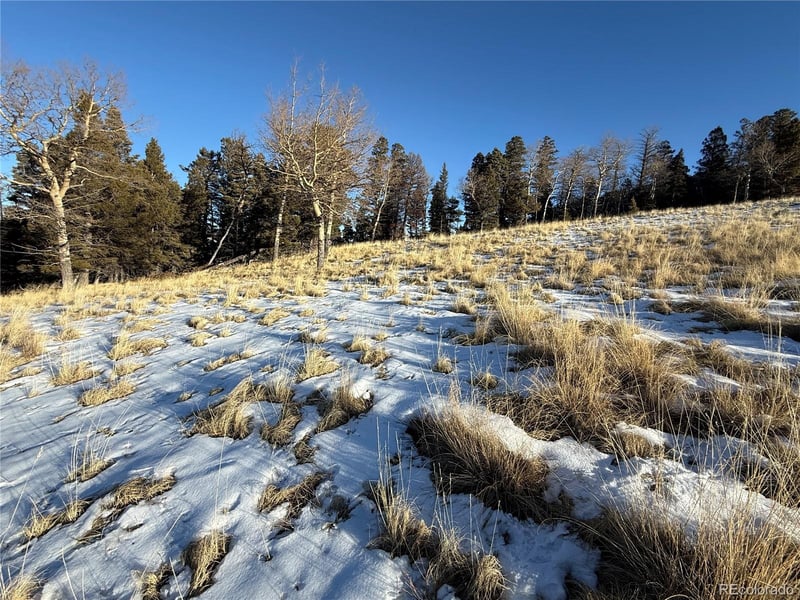 Lot 499 Collinson Dr, Fort Garland, CO 81133