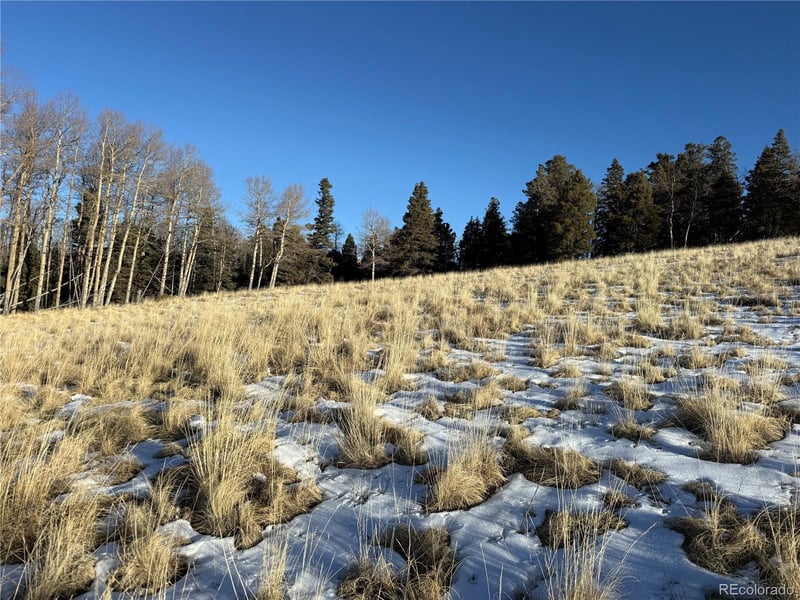 Lot 499 Collinson Dr, Fort Garland, CO 81133