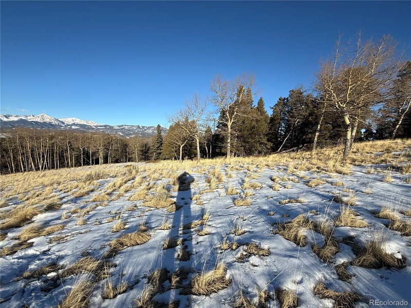 Lot 499 Collinson Dr, Fort Garland, CO 81133