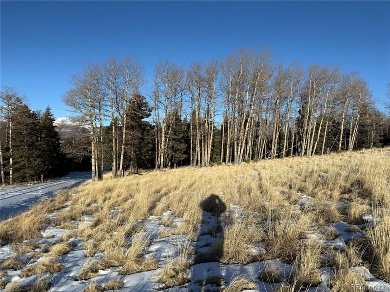 Lot 499 Collinson Dr Lot 499, Fort Garland, CO 81133