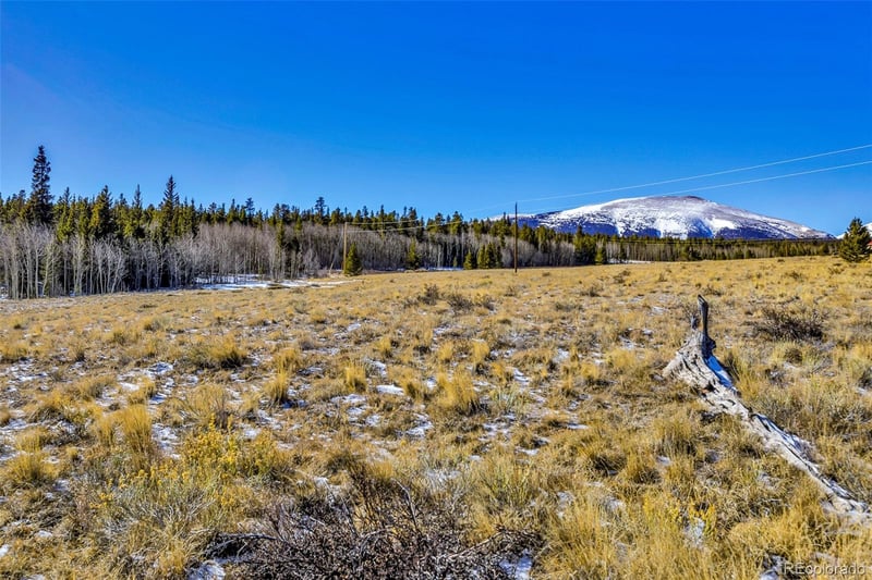 1957 Coil Dr Lot 118, Fairplay, CO 80440