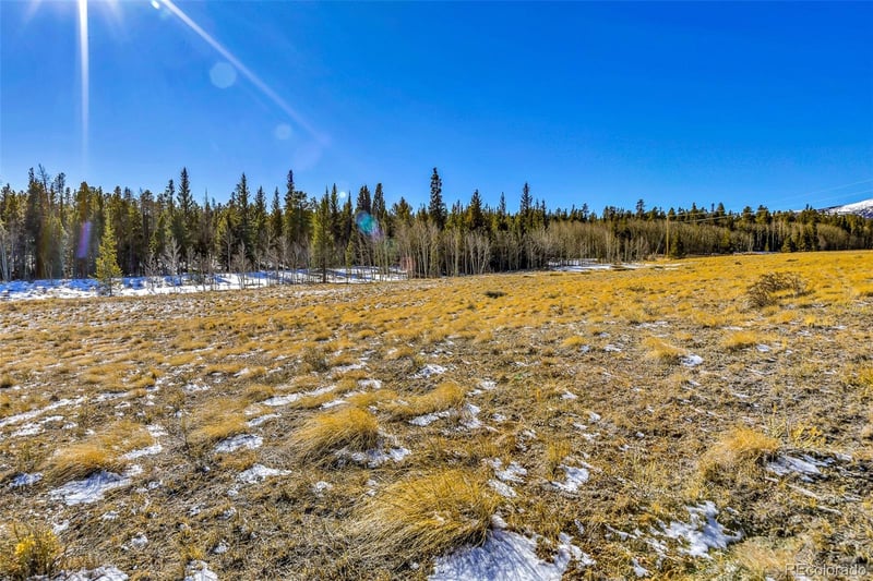1957 Coil Dr Lot 118, Fairplay, CO 80440