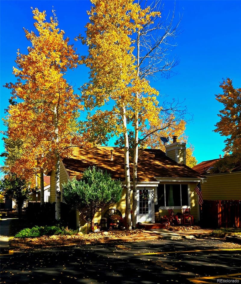 800 Columbine Village Dr, Woodland Park, CO 80863