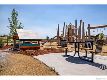 913 Trumpet Ln, Windsor, CO 80550