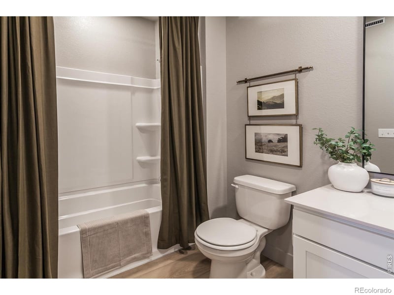 913 Trumpet Ln, Windsor, CO 80550