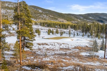 442 Idlewild Dr, Dillon, CO 80435