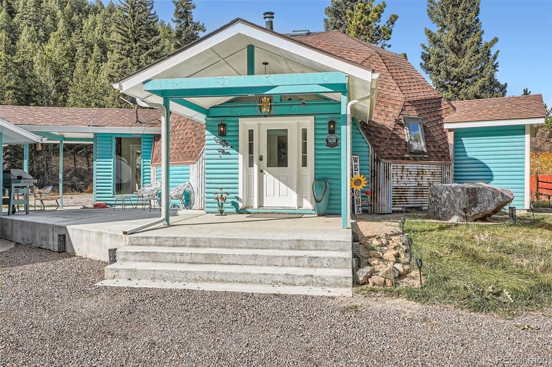 55 Iron Horse Ln, Bailey, CO 80421