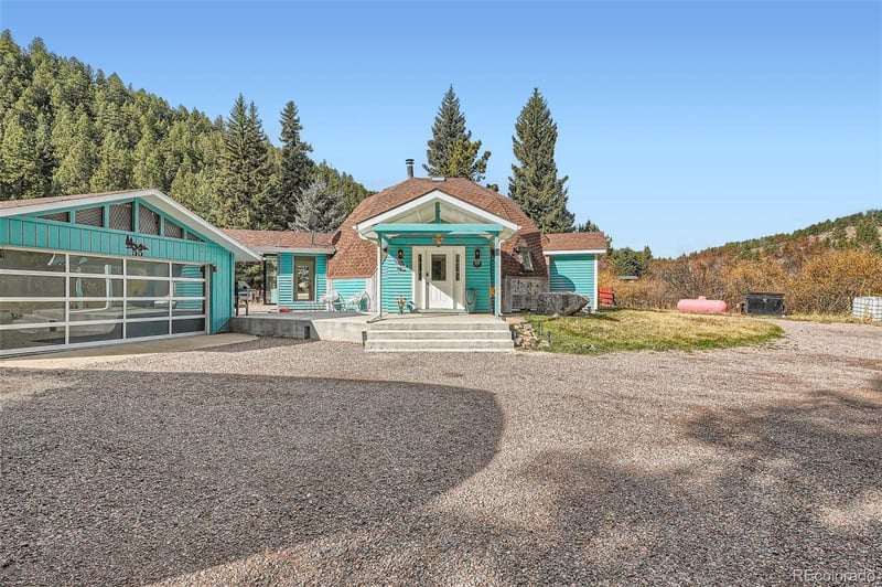 55 Iron Horse Ln, Bailey, CO 80421