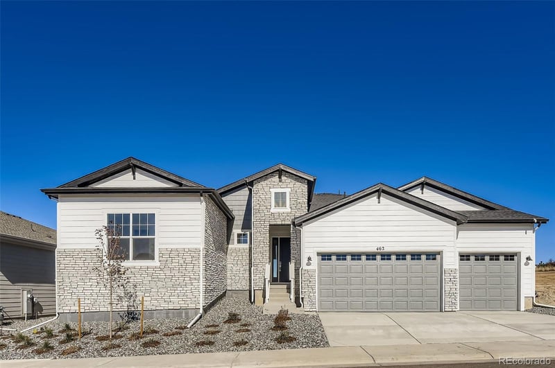 462 Agoseris Way, Castle Rock, CO 80104