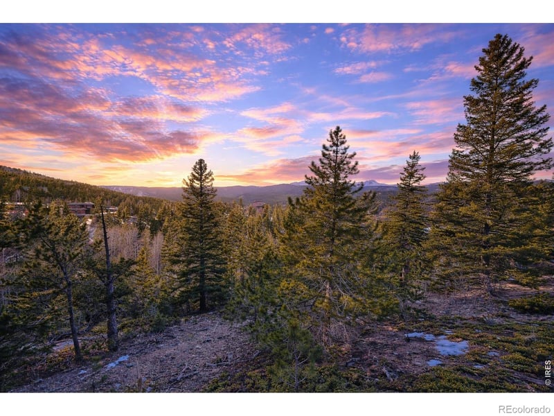 71 Pinecliff Trl, Nederland, CO 80466