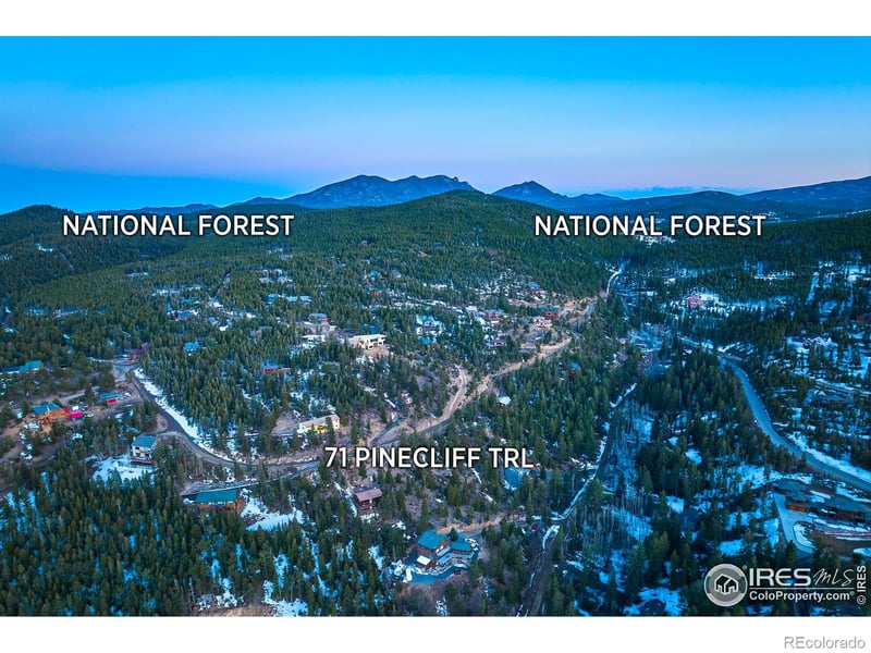 71 Pinecliff Trl, Nederland, CO 80466