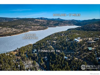 71 Pinecliff Trl, Nederland, CO 80466